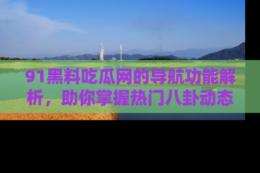 91黑料吃瓜网的导航功能解析,助你掌握热门八卦动态