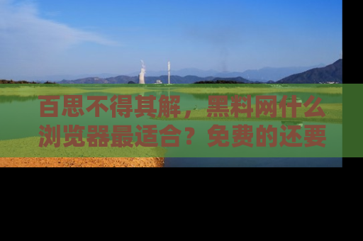 百思不得其解，黑料网什么浏览器最适合？免费的还要能吃瓜太难了！