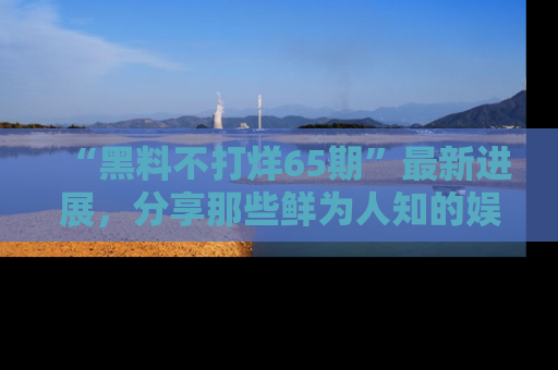 “黑料不打烊65期”最新进展,分享那些鲜为人知的娱乐八卦