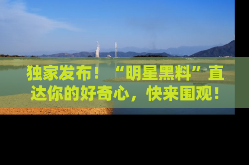 独家发布！“明星黑料”直达你的好奇心，快来围观！