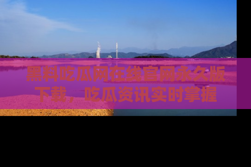 黑料吃瓜网在线官网永久版下载，吃瓜资讯实时掌握