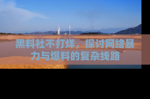 黑料社不打烊，探讨网络暴力与爆料的复杂线路