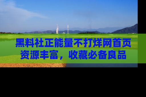 黑料社正能量不打烊网首页资源丰富，收藏必备良品