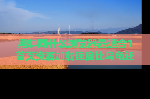 黑料网什么浏览器最适合？首页资源加载速度比乌龟还慢的体验真心吐槽！