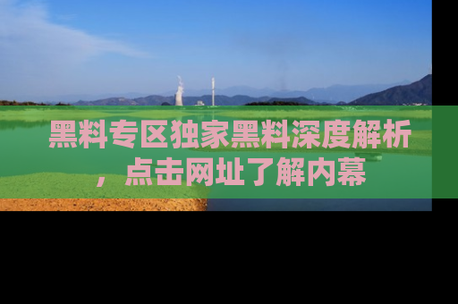 黑料专区独家黑料深度解析，点击网址了解内幕