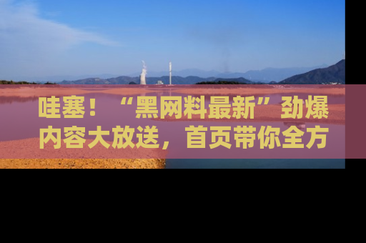 哇塞!“黑网料最新”劲爆内容大放送,首页带你全方位了解哦,小可爱们