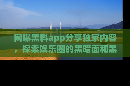 网曝黑料app分享独家内容，探索娱乐圈的黑暗面和黑料