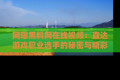 网曝黑料网在线视频:直达游戏职业选手的秘密与精彩动漫片段!