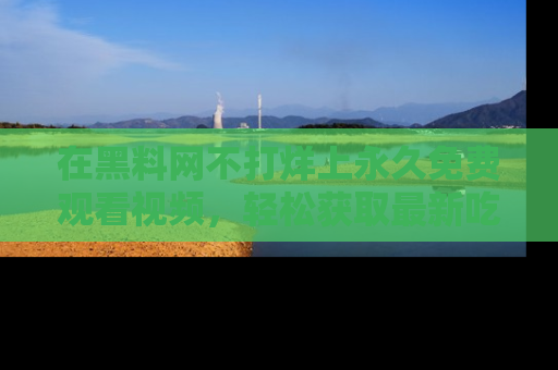在黑料网不打烊上永久免费观看视频,轻松获取最新吃瓜资讯!