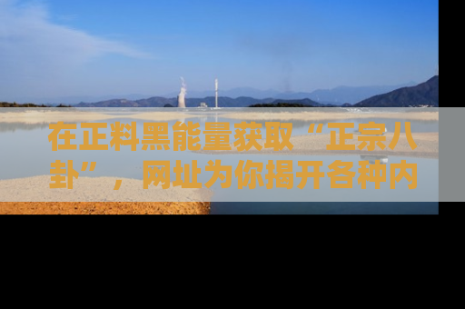 在正料黑能量获取“正宗八卦”,网址为你揭开各种内幕故事!